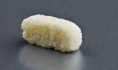 Maxgraft